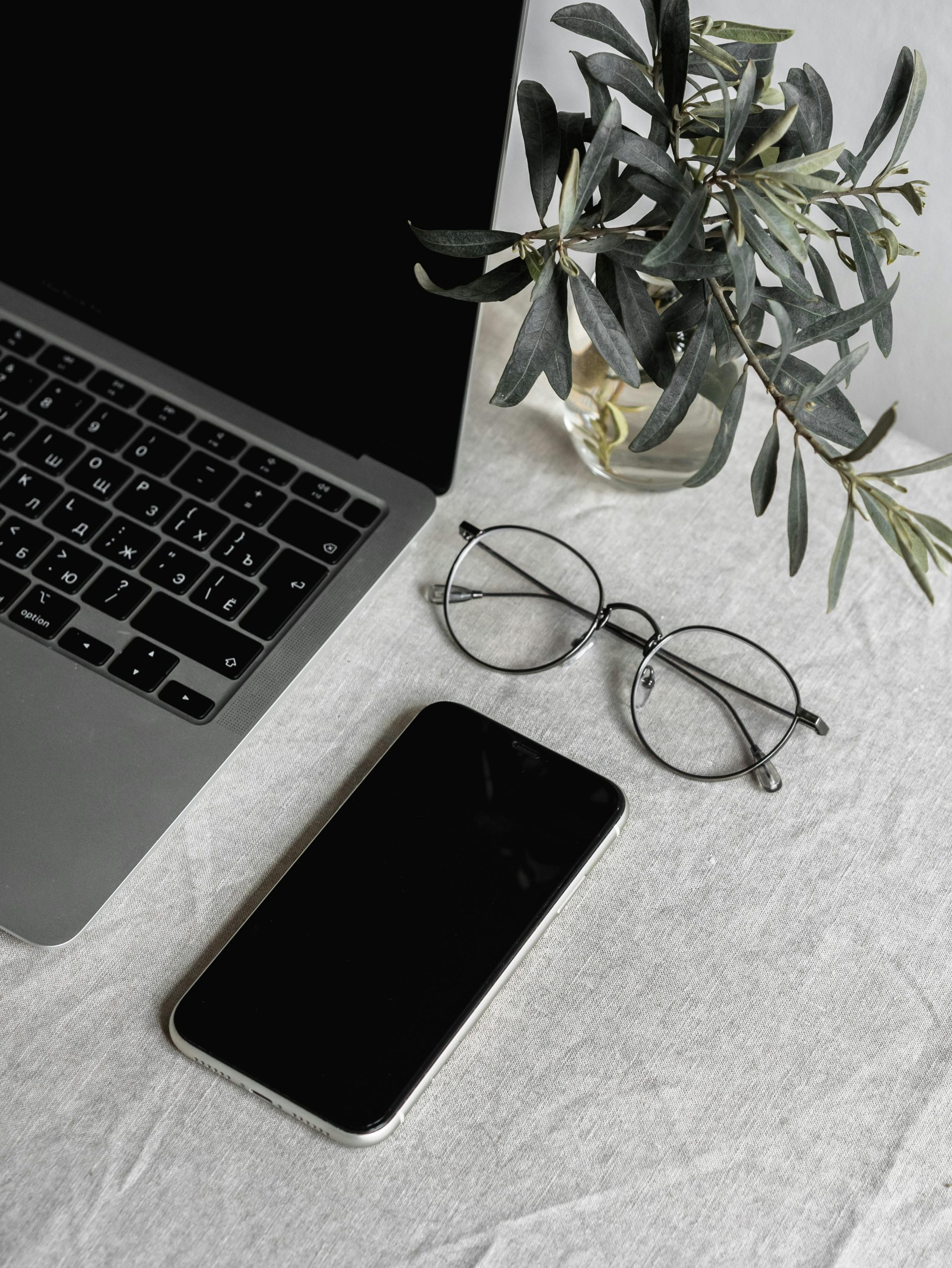 Flat lay of a laptop, smartphone, glasses, and plant on a table.